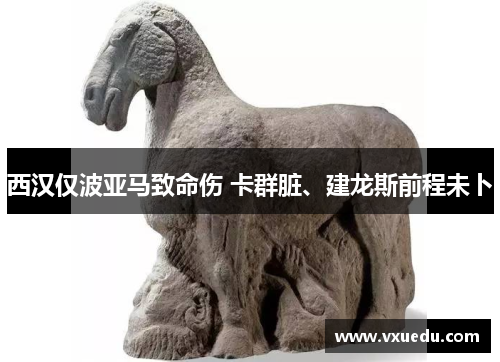 西汉仅波亚马致命伤 卡群脏、建龙斯前程未卜
